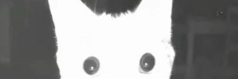 fFernandoDOE's profile banner image
