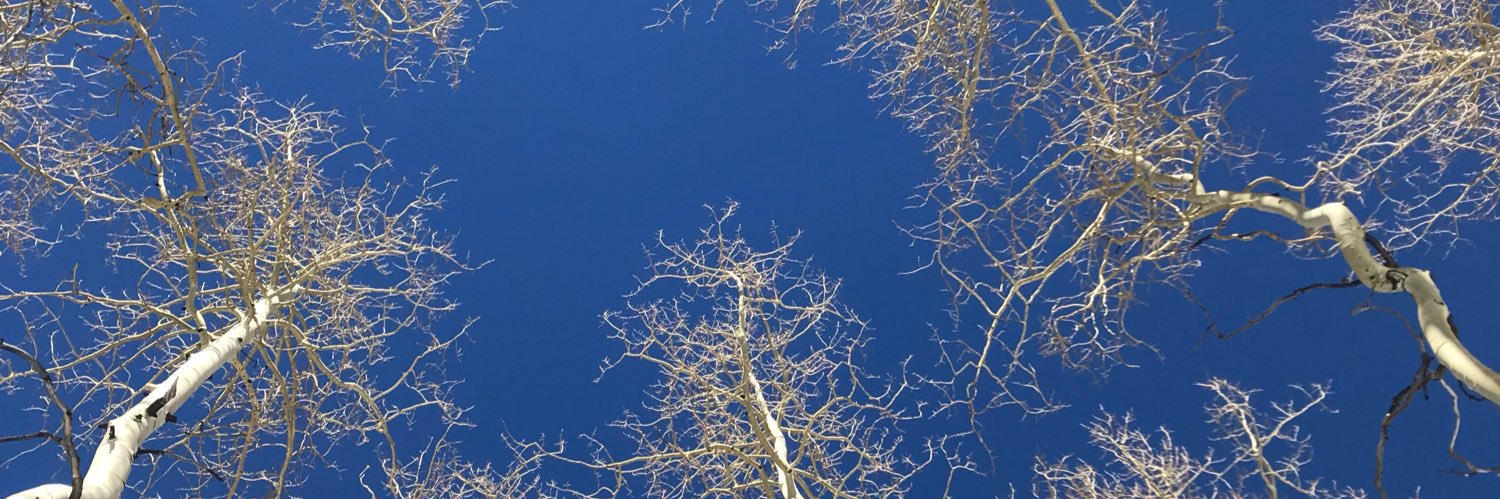 mbrittini's profile banner image