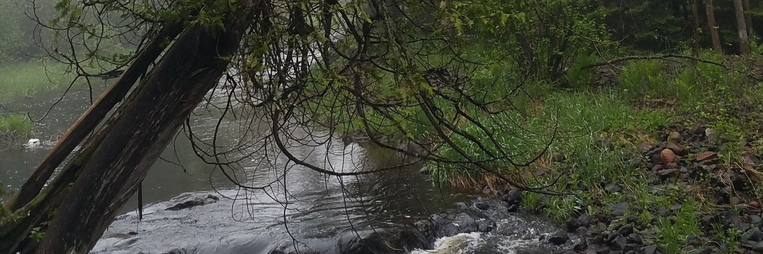 cane_lake's profile banner image