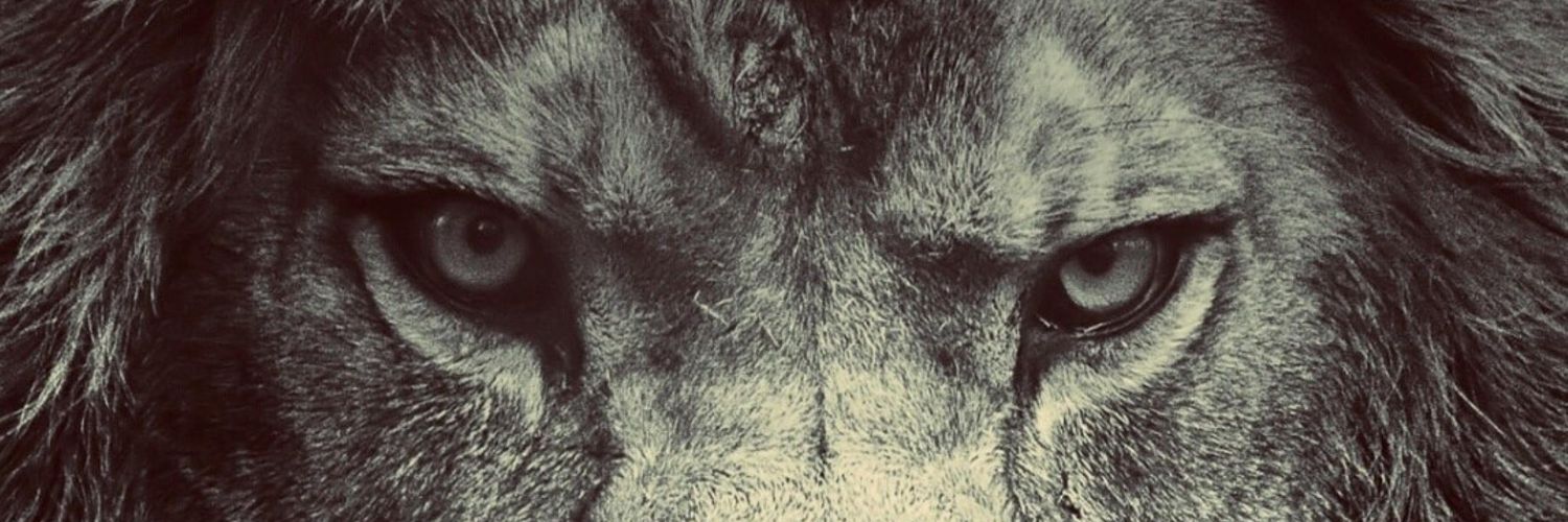 Bishitemitope's profile banner image