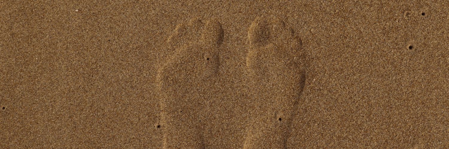 awsmAhad's profile banner image