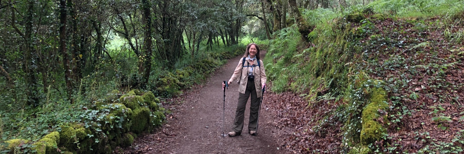 Susan Arnot Heaney banner