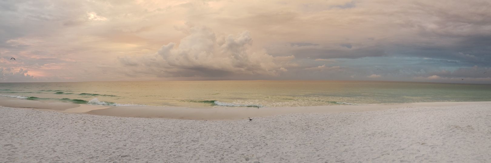 Jonathan Turner banner