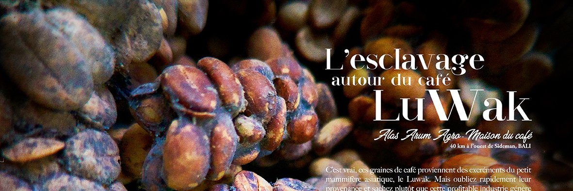 JosiasGob's profile banner image