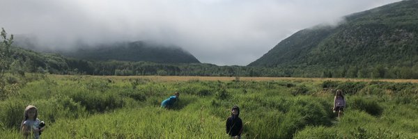 dmcnamee8 Profile Banner