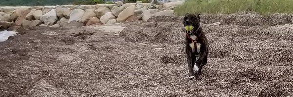 jpierc03 Profile Banner