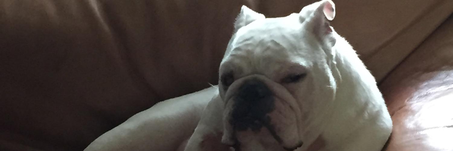 1EvilGenius_'s profile banner image