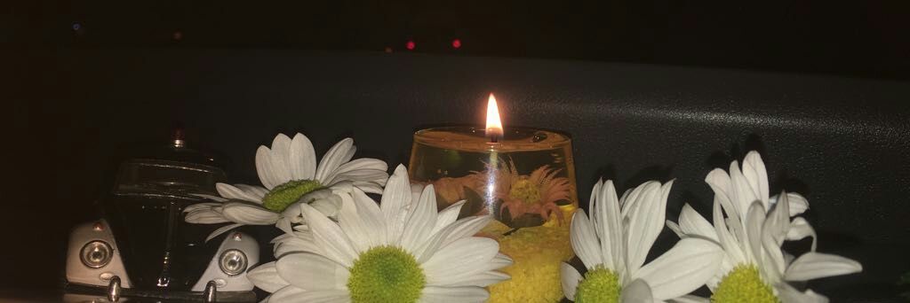 petitella_'s profile banner image