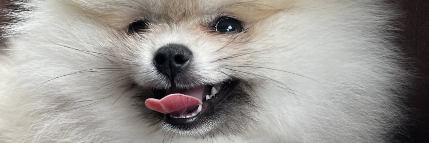 Dion_BM's profile banner image
