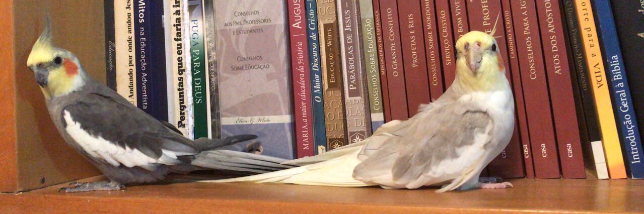 RaquelDelinski's profile banner image