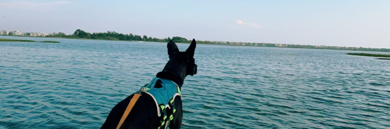 cstarkeyy's profile banner image
