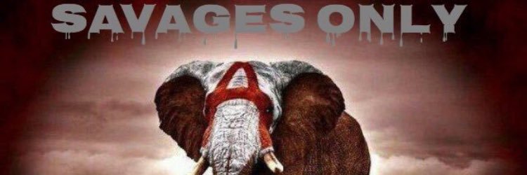 Matthew Cagle banner