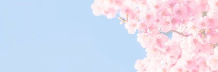 katvvvax's profile banner image