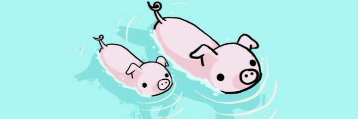Fddamm's profile banner image
