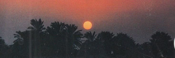 shhhhLes's profile banner image