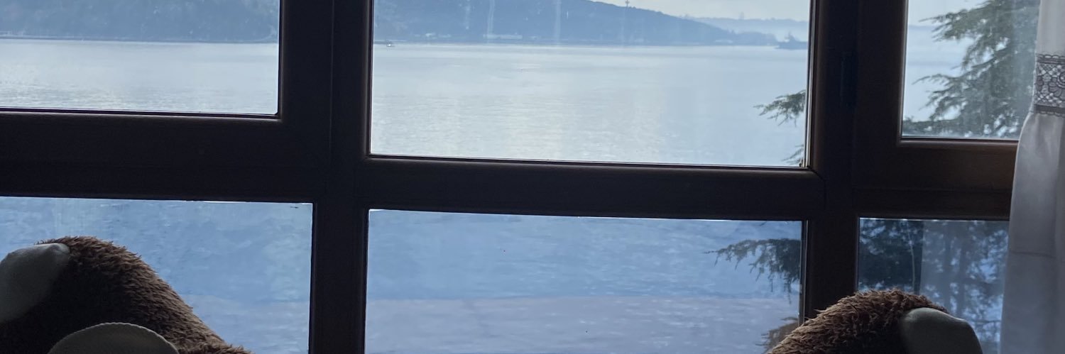 iambaydirman's profile banner image