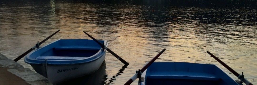 AidaMares's profile banner image