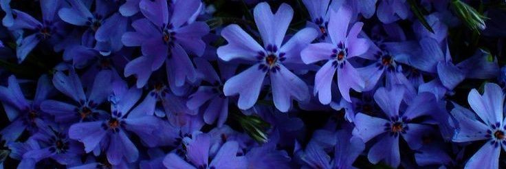 _anarm's profile banner image