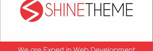 ShineTheme's profile banner image