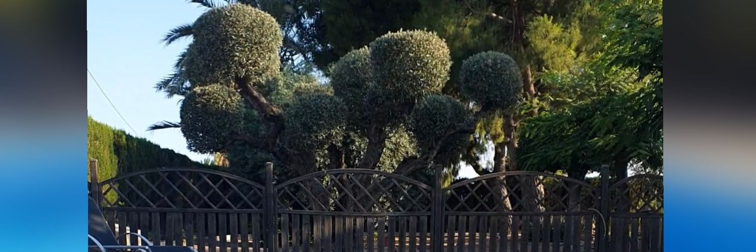 deltasirvent's profile banner image