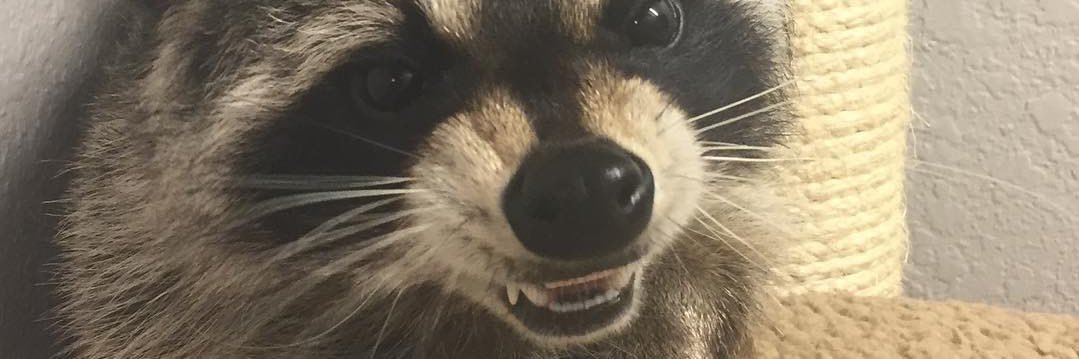 CoachVT's profile banner image
