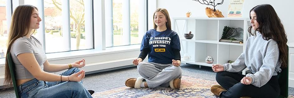 SJLIWellness's profile banner image