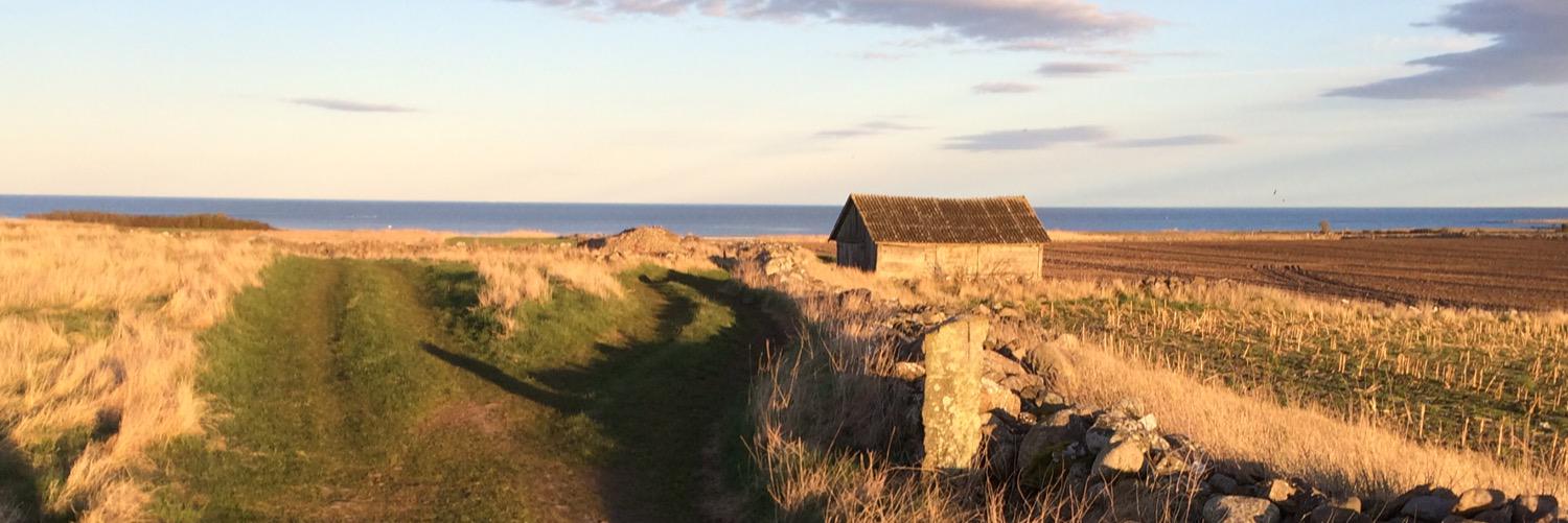 Marie Horn banner