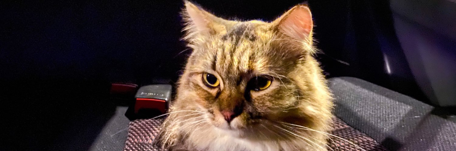 DemiMouse's profile banner image