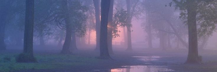 crisbalfour_'s profile banner image