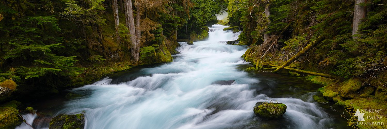 Cascadia Wildlands banner