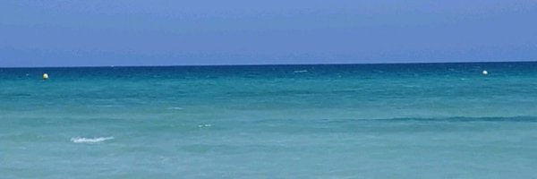 steffi2105 Profile Banner