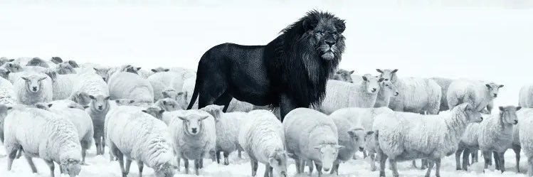 ™Kevin L. Walker© banner