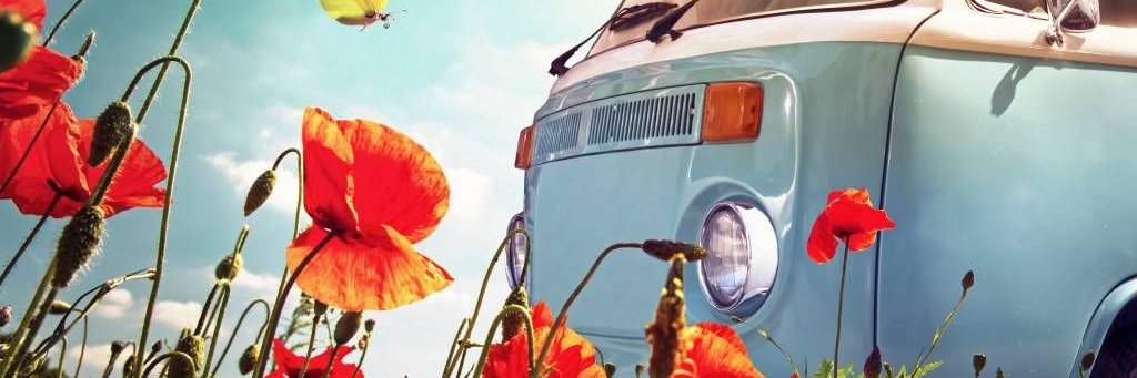 FindlayNorthVW's profile banner image