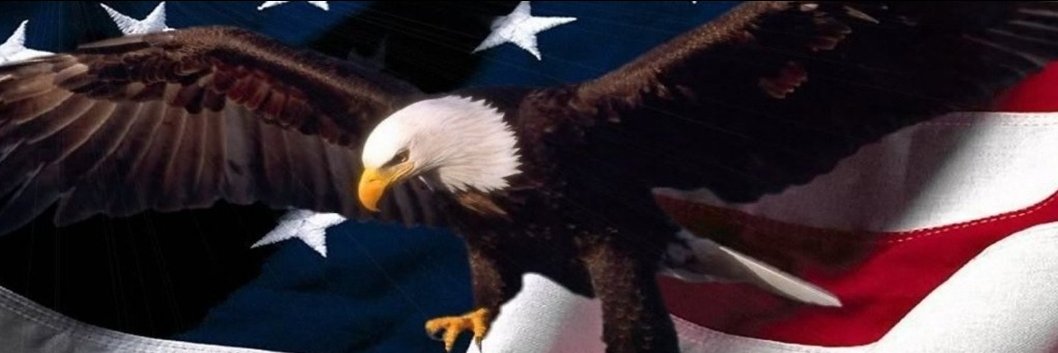 Anna 🇺🇸 banner