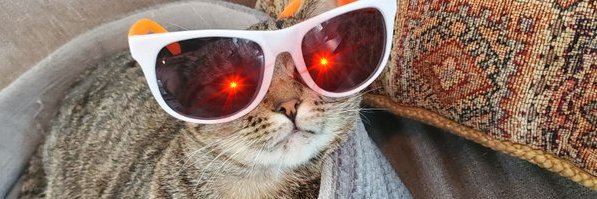 Jad Mubaslat ⚡ 🇵🇸 banner