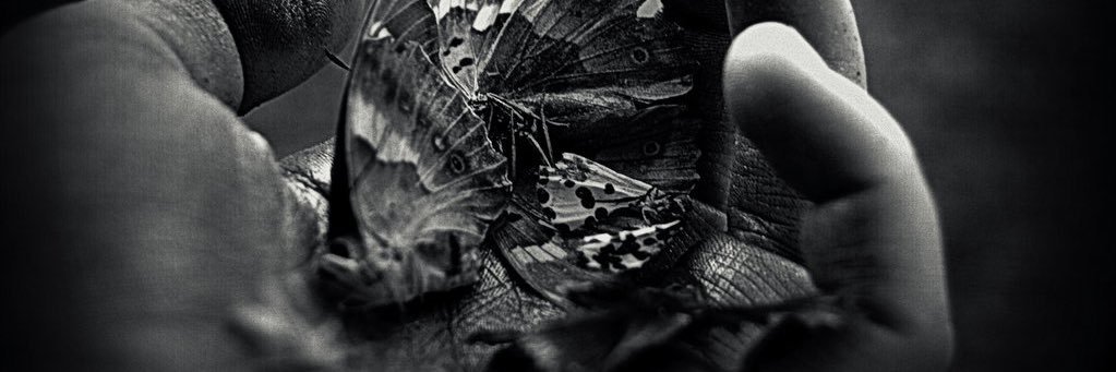 TekinSuper's profile banner image