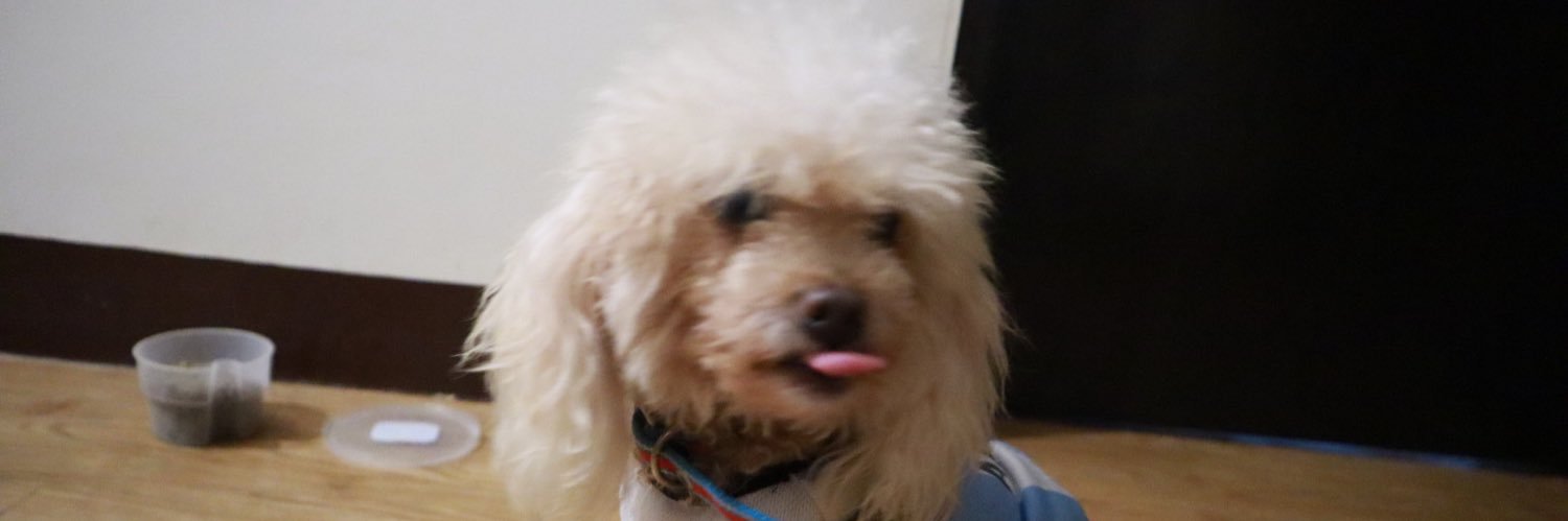 vizzelayrah's profile banner image