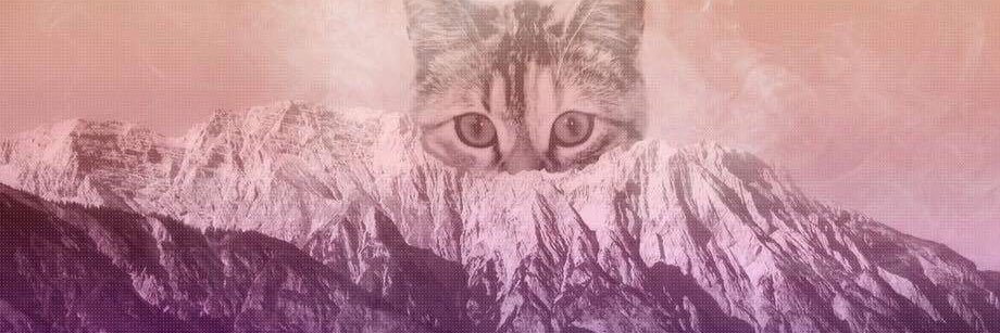 dropdeadvirus's profile banner image