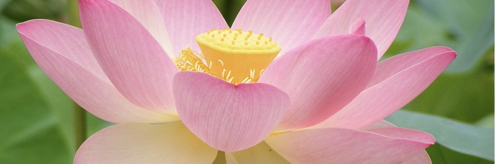 ElenaMorenoF's profile banner image