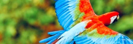 ArrowJSmith's profile banner image