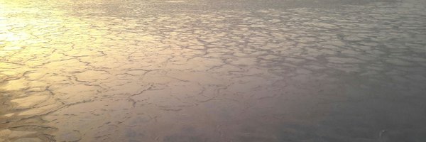 keskma Profile Banner