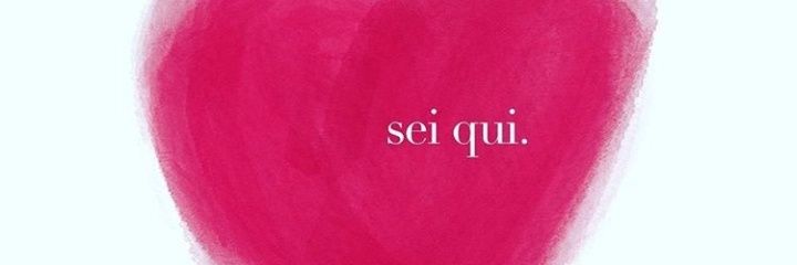 cicchellisara's profile banner image