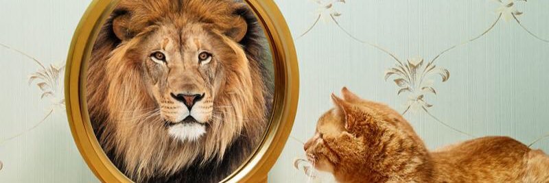 Alver_Garcia's profile banner image