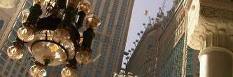 1Wildq8's profile banner image
