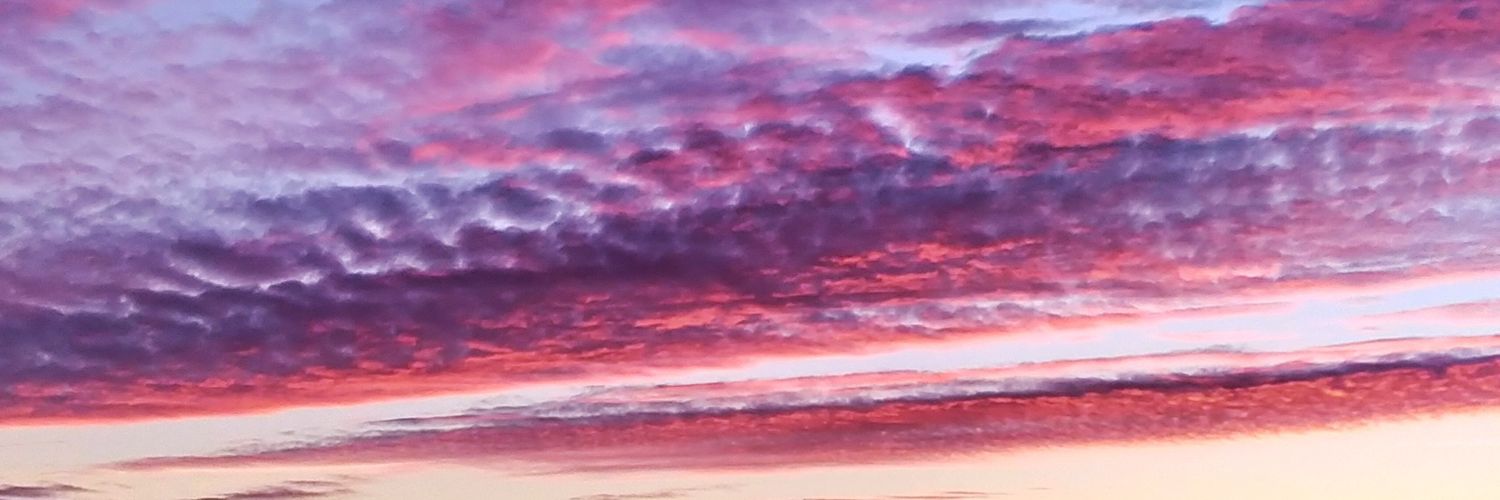 CinderPhoenix's profile banner image