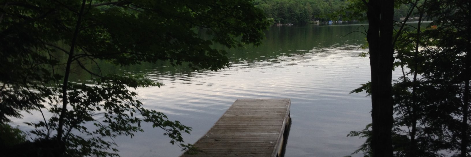 Theone Paterson banner