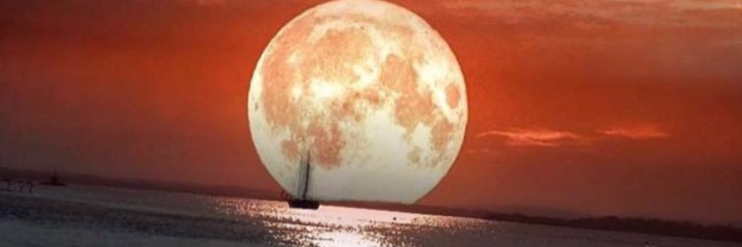 irfankaraca76's profile banner image