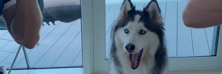 megjoyc's profile banner image