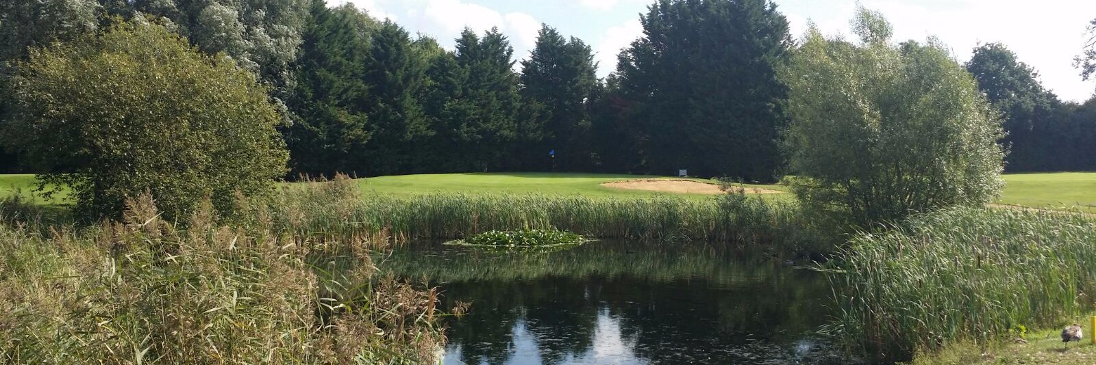 WexhamParkGolfC's profile banner image