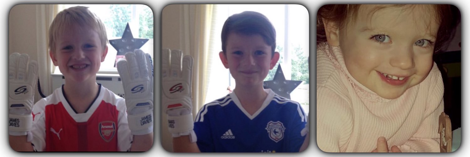 Gareth Davies banner